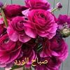 user6304404100551