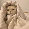 want_die1