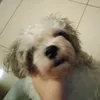 marilou.28
