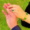 nazoo_bradosti