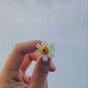 apple.useradee