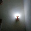 monir.hossain0539