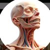 body_3d_art