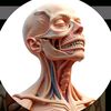 body_3d_arts