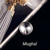 mirza30801