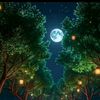 novel84930