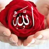 user8729887557451
