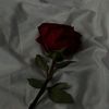 reemabdul23