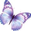 user2510611918128
