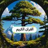 (❤️قرآن كريم 1🌿)