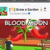 youtube.lily5