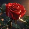 user9523368145412