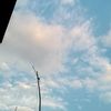 wong.tegal528