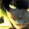 __nightfurybr