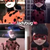 house.de.miraculous21