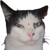 peppy7024