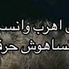 nightlover811