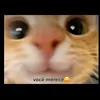 yasminpereira2146