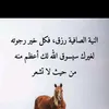 jori8974