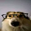 cauanzxz__