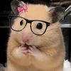 jenni.dlc