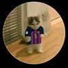 josuee_1721