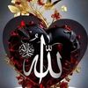 asadali32629