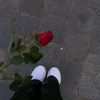 yasmin545364964