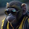 babymonkey.moments
