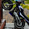 samidu_status