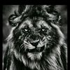 user9101768153381