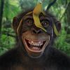 babymonkey.trends