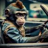babymonkey.channel