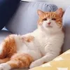 7cghha