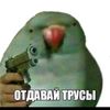 dipstpfljqv