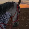 biroo7508