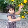 only_fatima_bckgate1