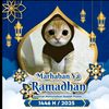 jijah8015