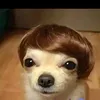 luis_073857