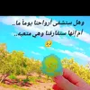 user6019607321053