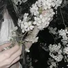 npabqa7