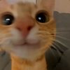 hi_itme_saita