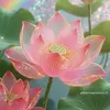 tao.020624