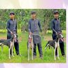 aliraza690.1