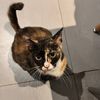 kacawww04_