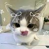 louisccy_zaa4
