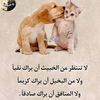 user6068175088309