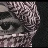 qzhlwlgyan058