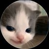 _mochin_cat