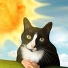 kitty_.rbx6